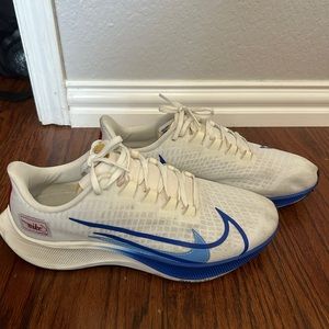 Nike Pegasus 37 “BRS” Size 9